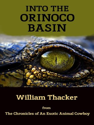 cover image of Into the Orinoco Basin